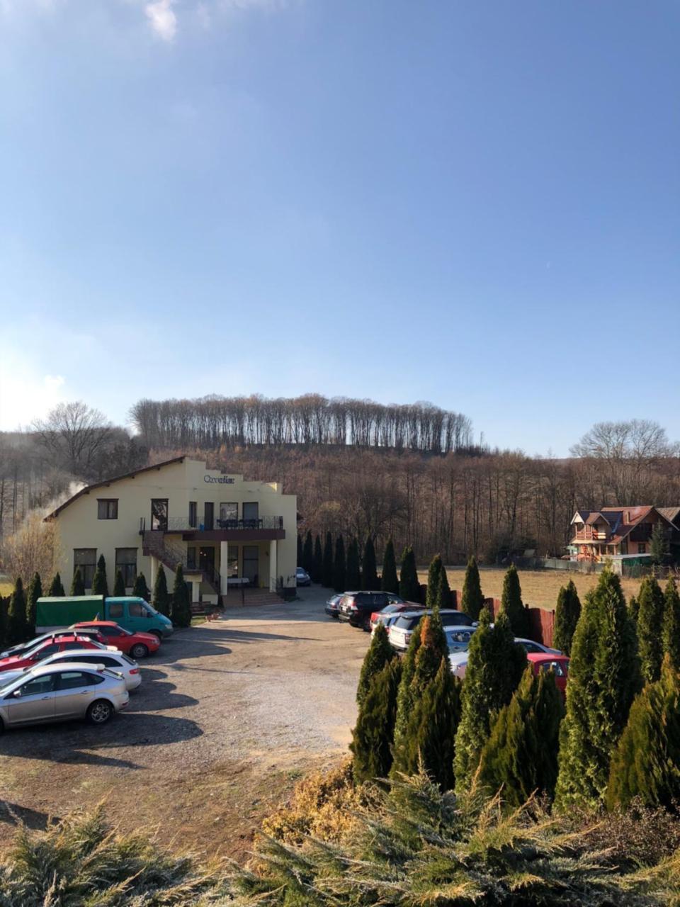 Pensiunea Cavaler Băile Felix Buitenkant foto